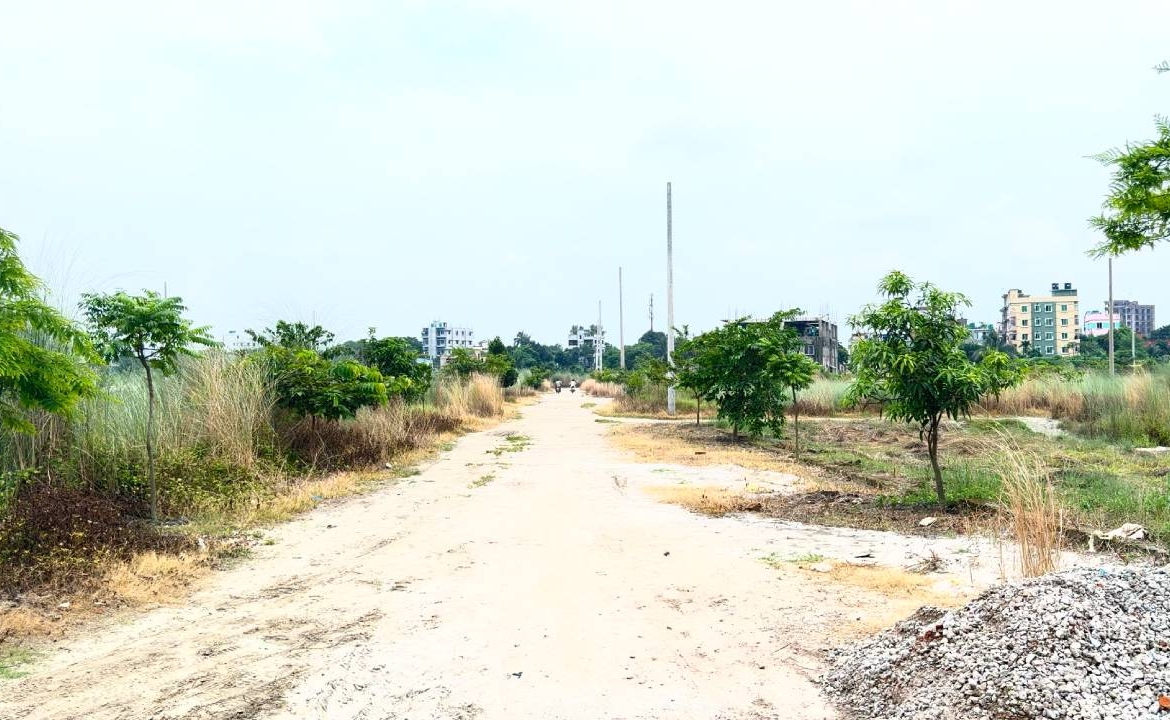 দ্যা সিগনেচার