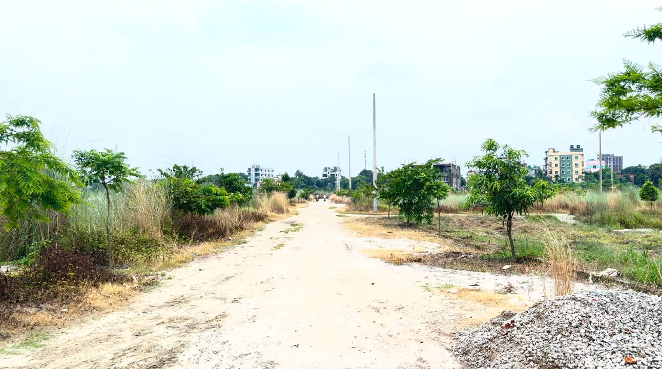 Road view দ্যা সিগনেচার
